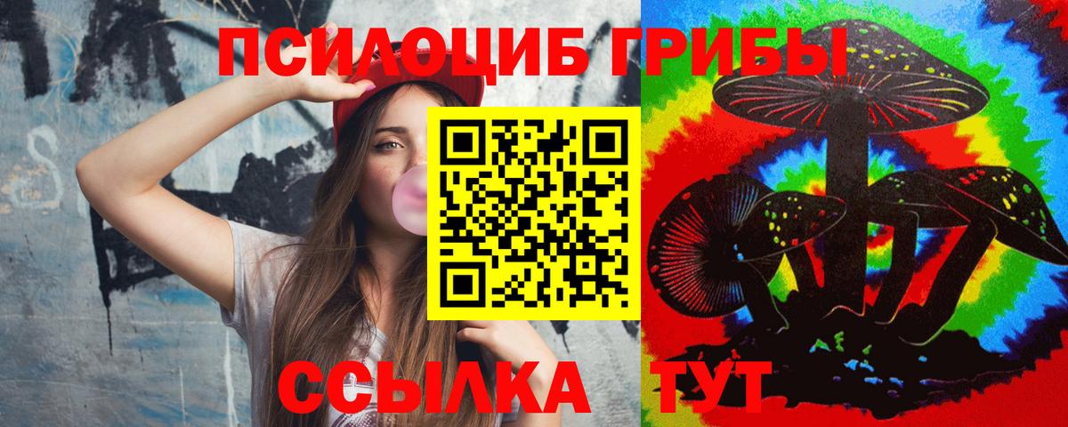 цена   Псилоцибиновые грибы Psilocybine cubensis  Карталы  Вход с VPN  Галлюциногенные грибы мухоморы 